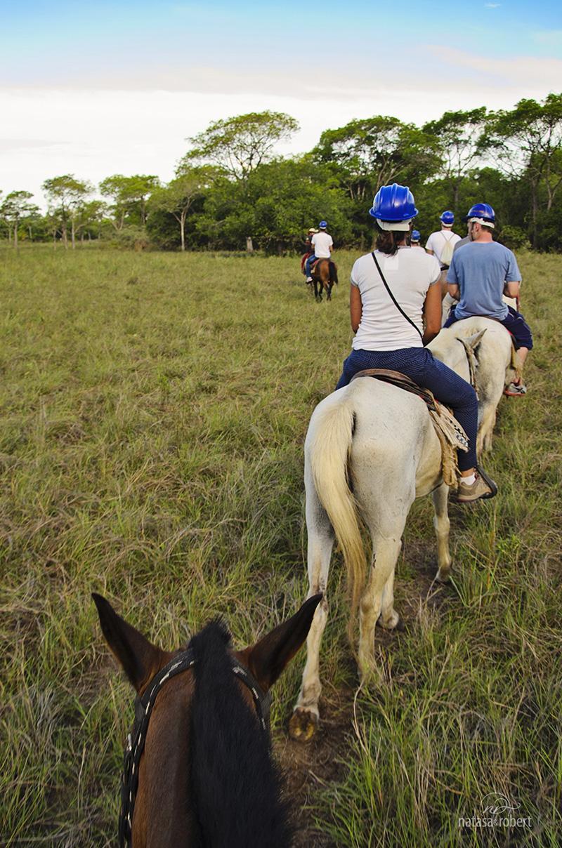 pantanal 011