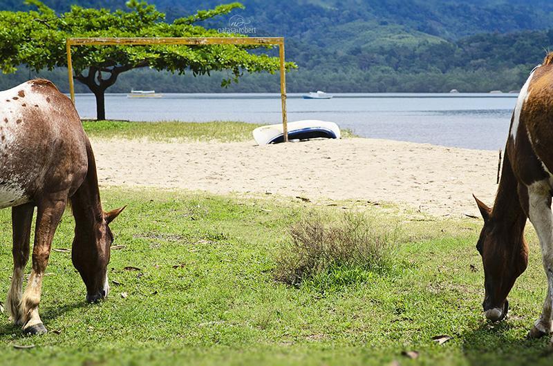 Paraty 009